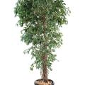 Ficus artificiel lianes petites feuilles