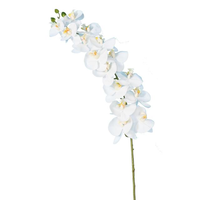 Phalaenopsis Artificielle Tige