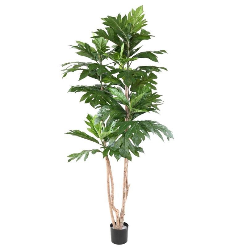 Artocarpus Artificiel Altilis Multi Troncs (arbre à Pain)