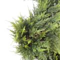 Cyprès artificiel Juniperus Spirale fine