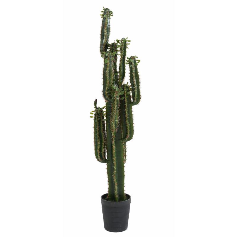 Cactus artificiel Finger