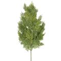 Cypres Artificiel SPRAY