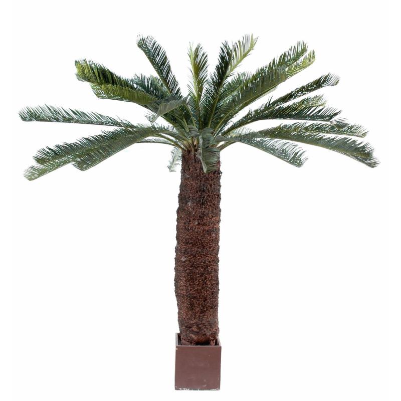 Cycas Artificiel Geant