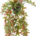 Lierre Artificiel 70 Pot
