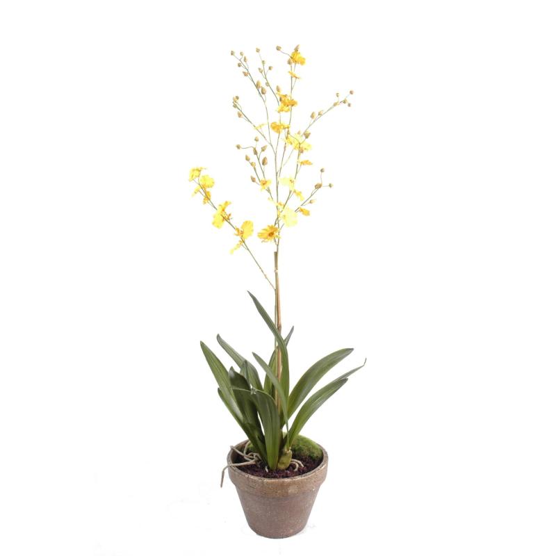 Orchidée artificielle Dancing Lady Pot en terre