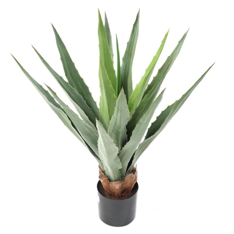 Furcraea 80 Artificiel