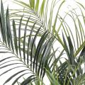 Kentia Artificiel Royal