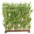 Eucalyptus Artificiel Haie UV