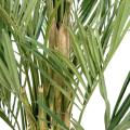 Kentia Artificiel Royal