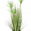Chrysopogon Artificiel Grass