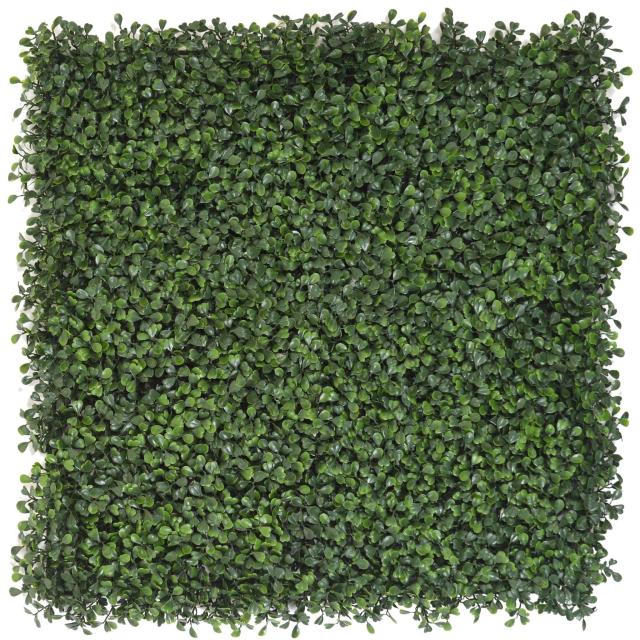 Buis Plaque Artifiel Vert 50 cm X 50 cm Pour Brise Vue