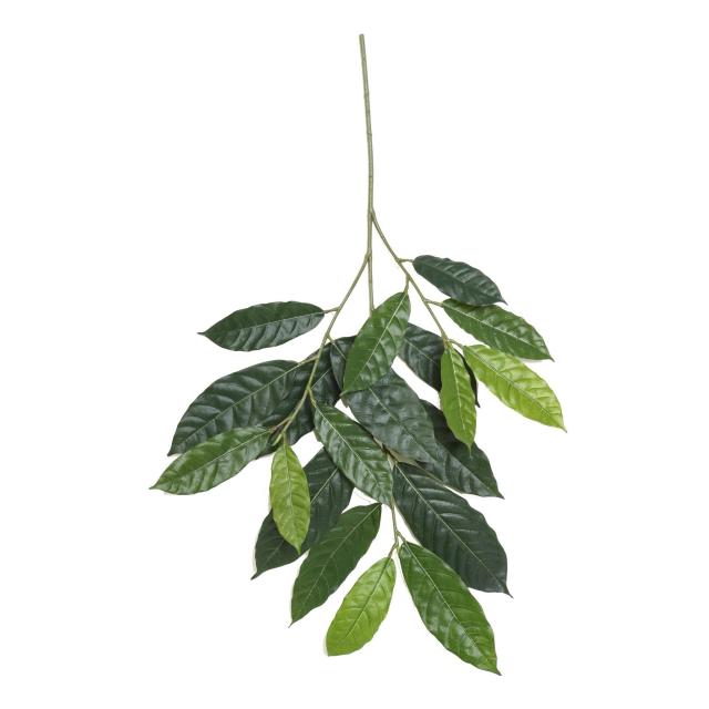 Cacaoyer Artificiel SPRAY