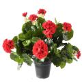 Geranium artificiel 25 cm