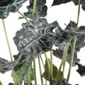 Alocasia artificiel pot