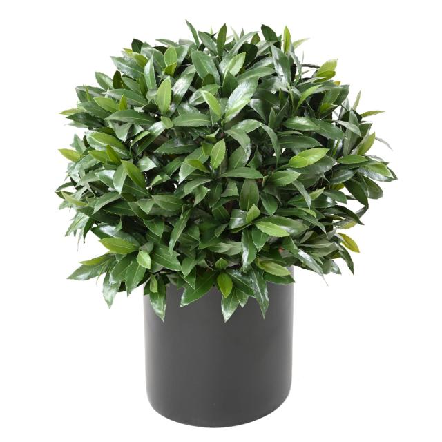 Laurier Nobilis Artificiel NEW Boule UV - Topiaires Artificielles