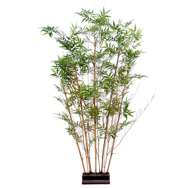 Haie Artificielle de Bambou Oriental de 150 cm de Hauteur Sur Socle