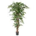Ficus artificiel Lianes grandes feuilles