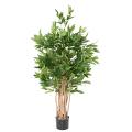 Dracaena Artificiel Surculosa 155
