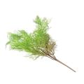 Asparagus Artificiel Fin Piquet