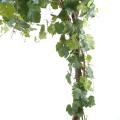Vigne artificielle Round