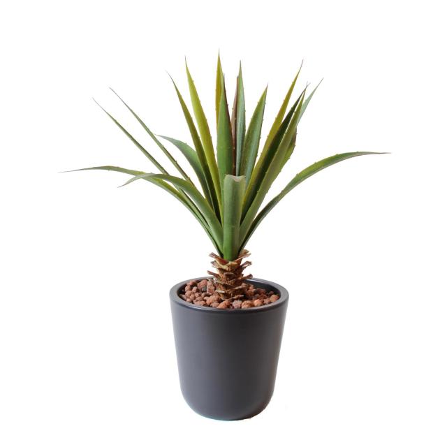 Aloe Vera Ferox Artificielle Pour Extérieur en Piquet de 45 cm