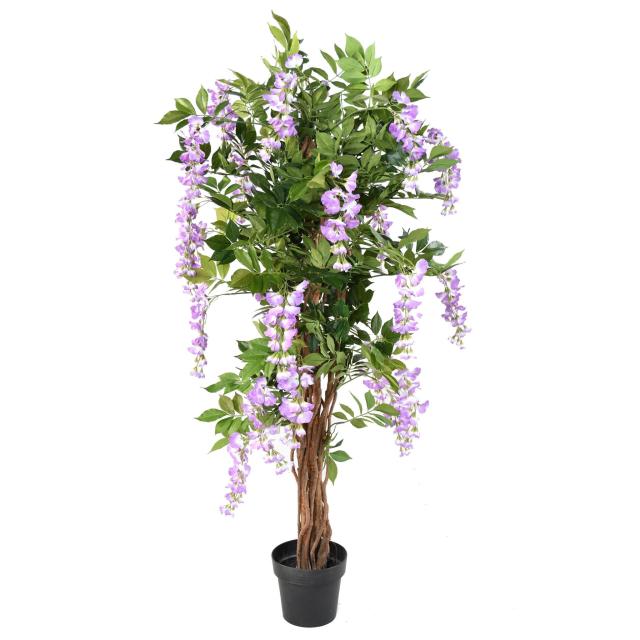 Glycine Artificielle