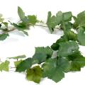 VIGNE Artificielle GUIRLANDE FR - Fire Resistant