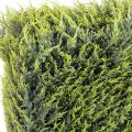 Cyprès artificiel Juniperus Haie Structure Métal