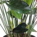 Anthurium artificiel 13 fleurs