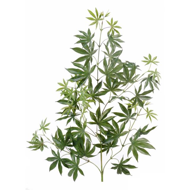 Branche D'aralia NEW SPRAY Artificiel de 70 cm de Hauteur Tergal Vert