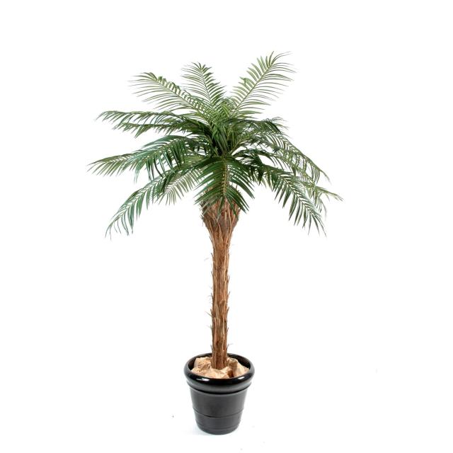 Palmier Artificiel Phoenix de 150 cm à 450 cm de Hauteur