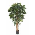 Schefflera artificiel