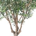 Olivier Arbre M Artificiel