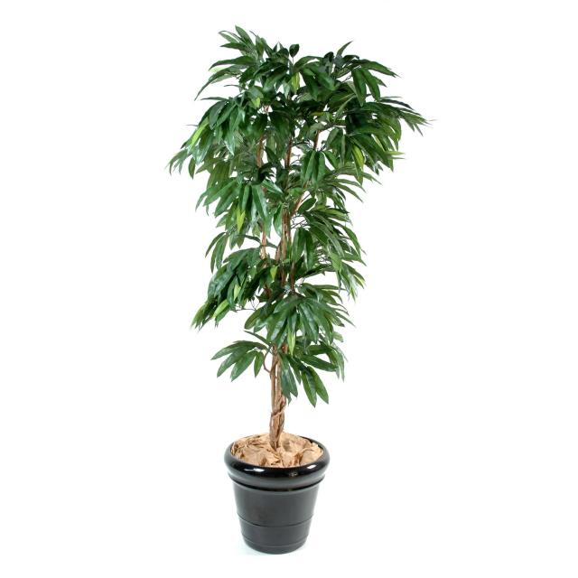 Manguier Artificiel Avec Tronc en Bois Naturel 150 cm et 180 cm