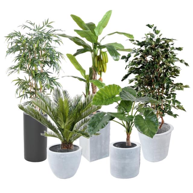 Plante artificielle et fausse plante réaliste | Flore Events