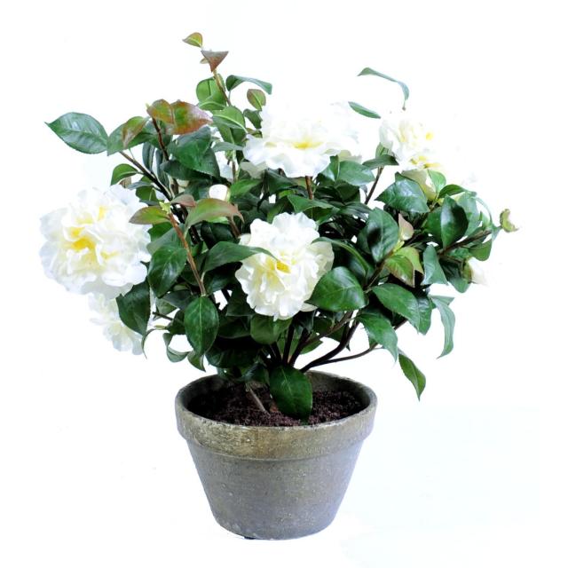 Camelia Artificiel Blanc de 56 cm de Haut Dans UN Pot en Terre
