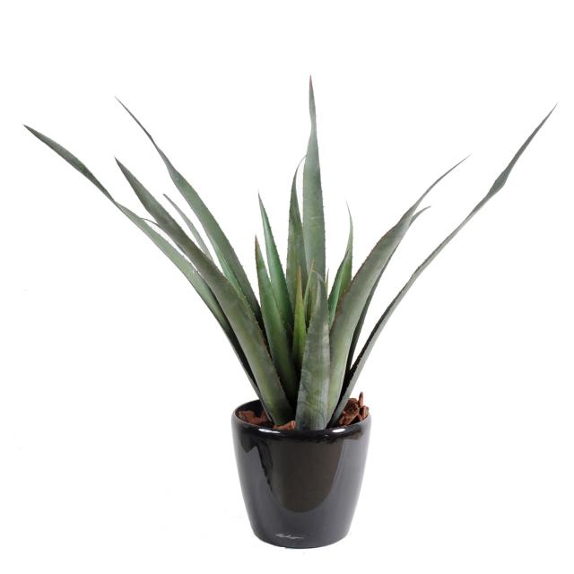 Aloe Artificielle Ferox PLAST 65 cm de Hauteur Pour Extérieur