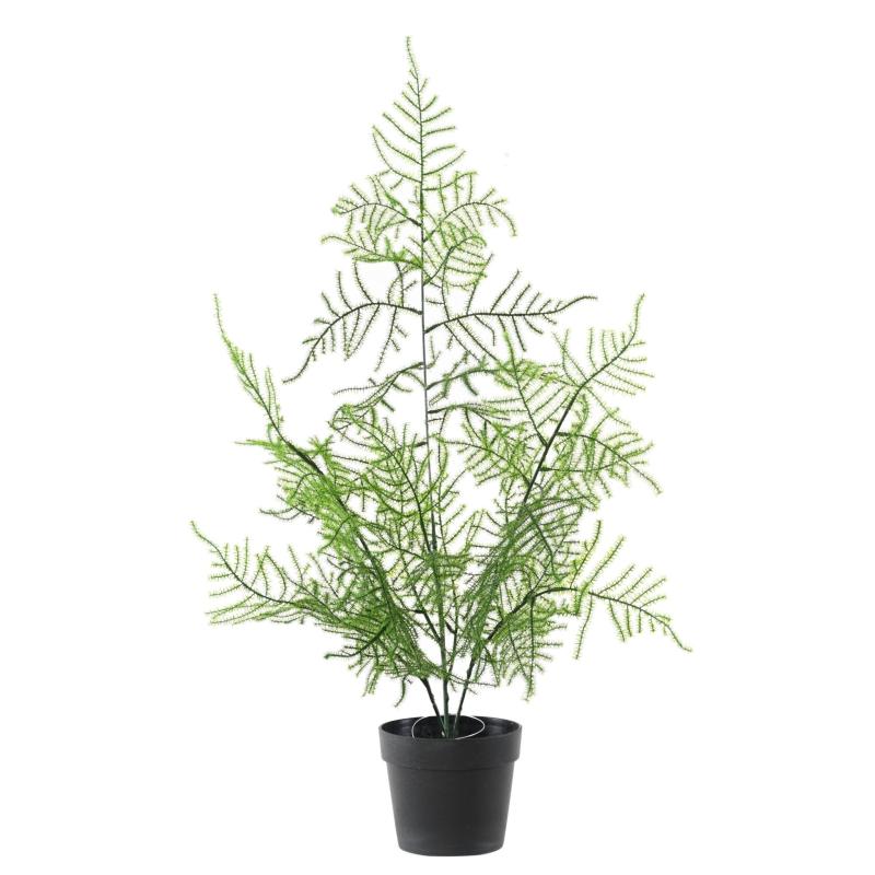 Asparagus Artificiel 50 Pot