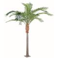 Phoenix Artificiel Canariensis