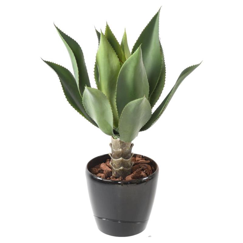 Agave Artificielle L