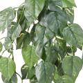 Pothos Artificiel Chute 75 UV