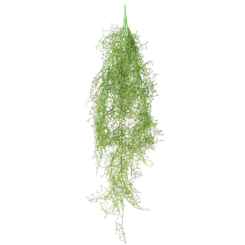Tillandsia Artificiel Chute