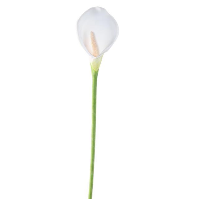 Arome L Artificiel en Tige de 80 cm Disponible en 3 Couleurs