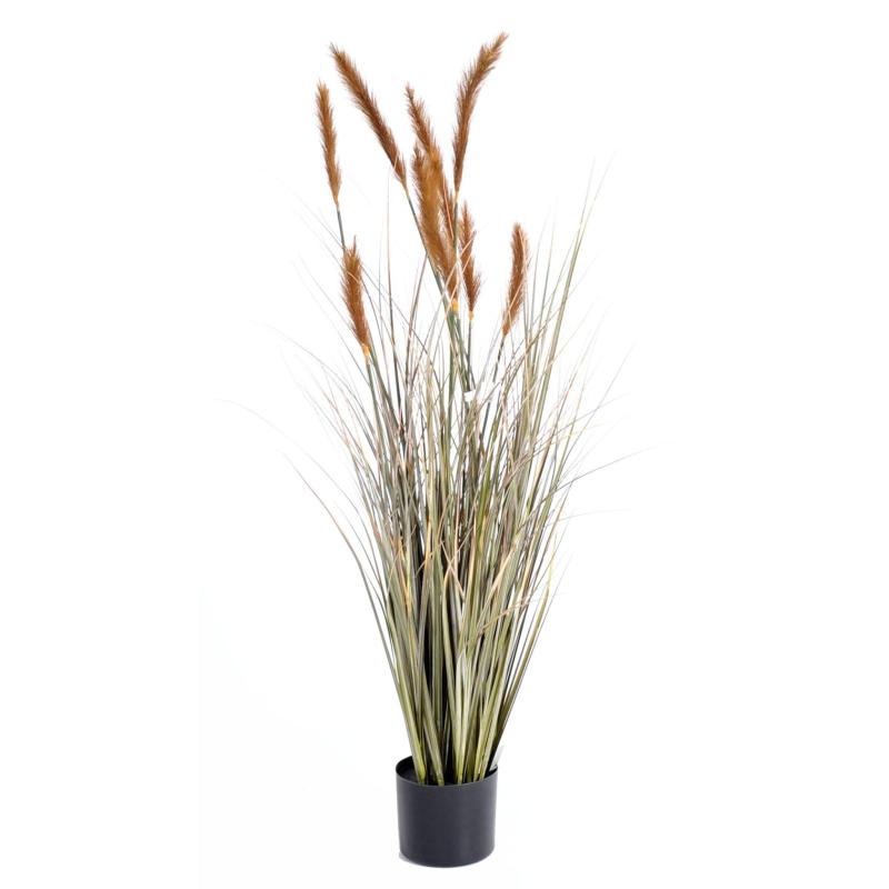 Foxtail Artificiel GF