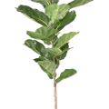Lyrata Artificiel