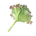 Succulente Artificielle 22