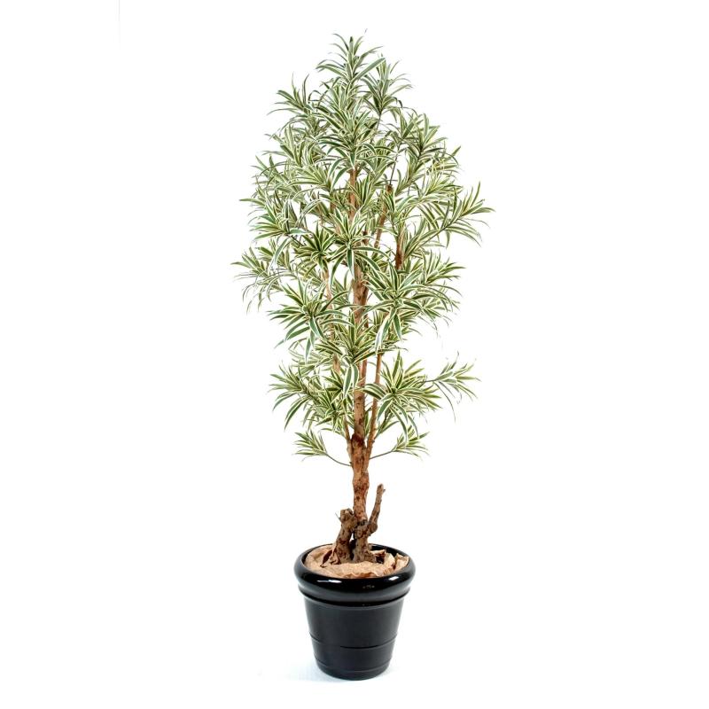 Dracaena Artificiel Reflexa