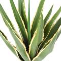 Agave Furcraea 80 Artificiel