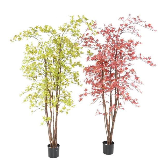 Aralia Artificiel PE 180 UV (erable)
