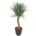 Beaucarnea Artificiel Recurvata